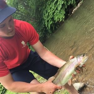 Meet your Posher, Daniel